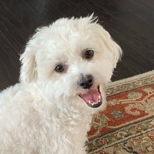 Meet your Posher, Naomi